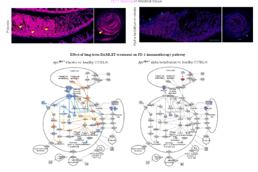 Cơ chế miễn dịch tế bào T bằng con đường ức chế thụ thể PD-1 của alpha lactalbumin-oleic acid .